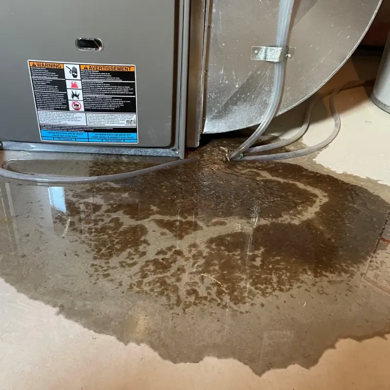 Appliance Leak Cleanup in South Congaree, SC